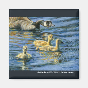 “Gosling Round-Up” Magnet