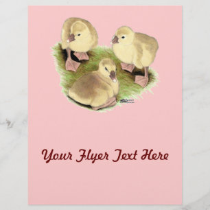 Goslings:  Buff African Flyer
