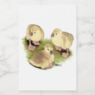 Goslings: Buff African Food Label