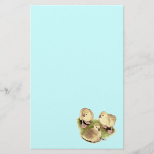 Goslings: Buff African Stationery