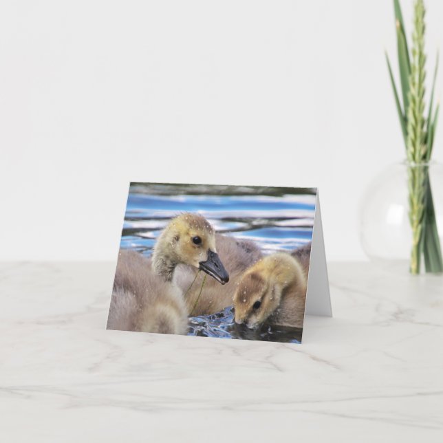 Goslings Note Cards (Front)