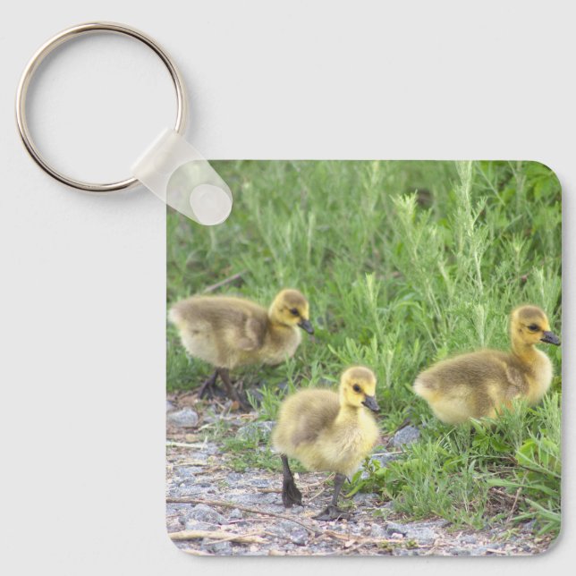 Goslings Photo Keychain (Front)