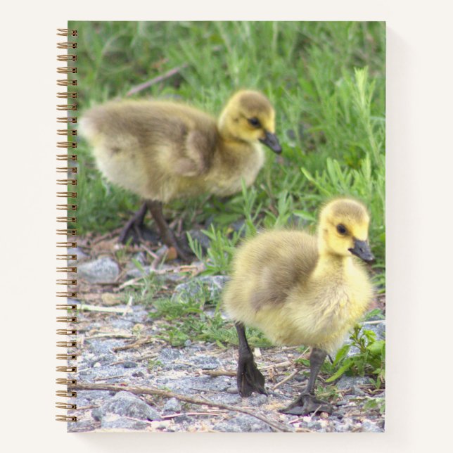 Goslings Photo Notebook (Front)