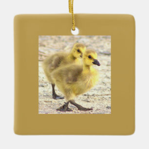 Goslings Photo Ornament