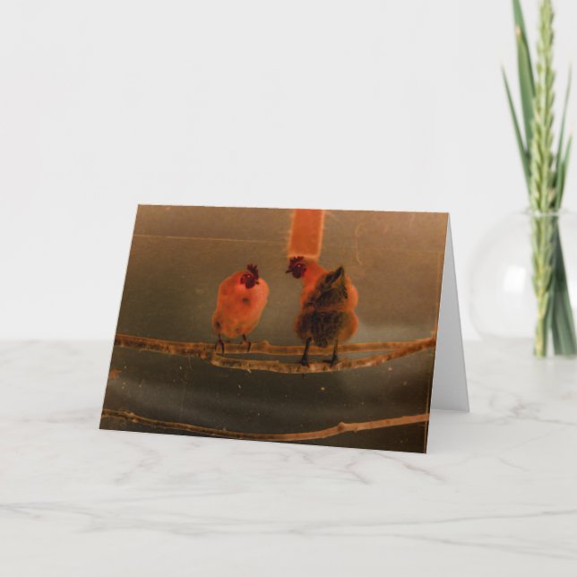 "Gossiping" Digitally Transformed Perched Chickens Card (Front)
