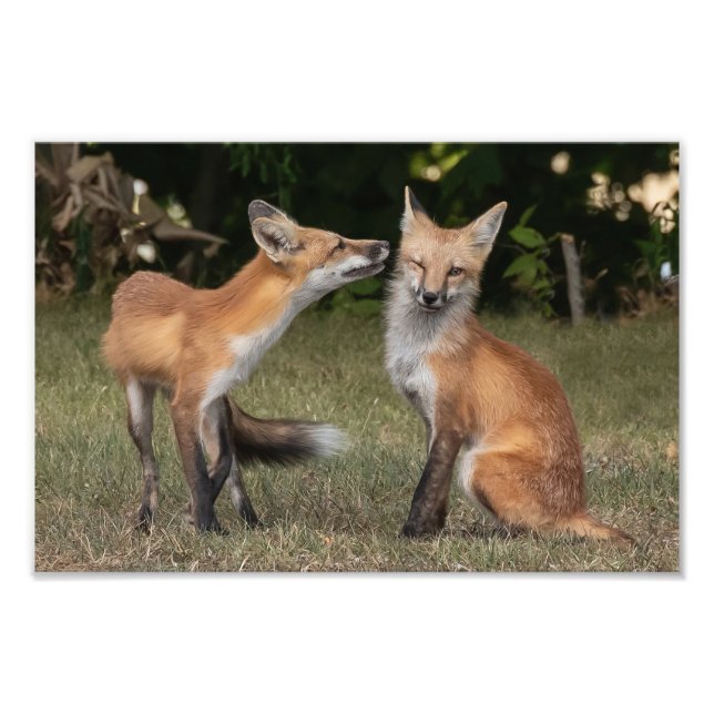 Got A Mint? Photo Print (Front)