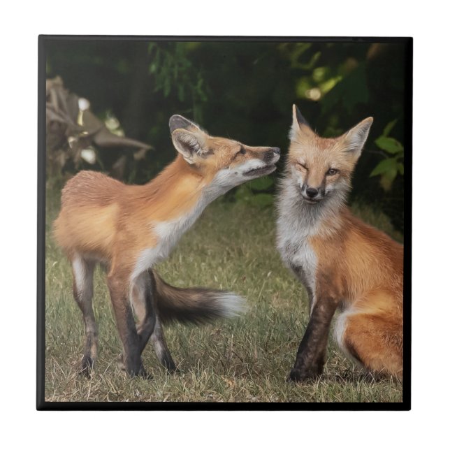 Got A Mint? Tile (Front)