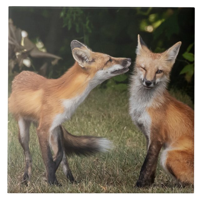 Got A Mint? Tile (Front)