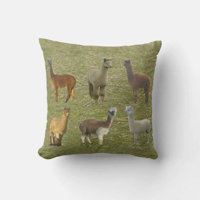 Got Alpacas? Cushion (Front)