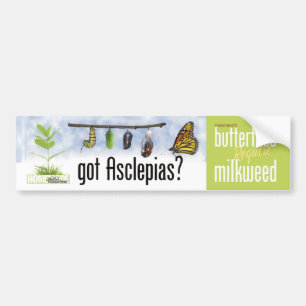 Got Asclepias (Milkweed)? Bumper Sticker
