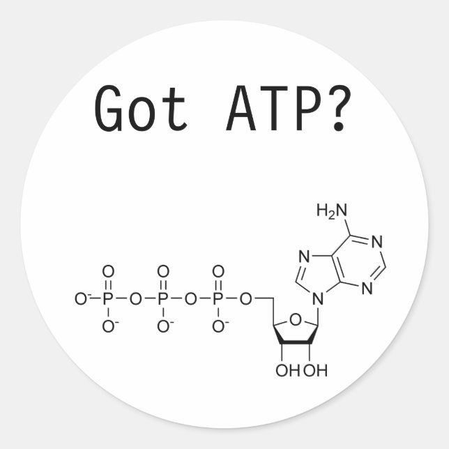 Got ATP? Classic Round Sticker (Front)