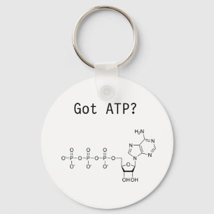 Got ATP? Key Ring
