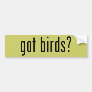 got birds? bumper sticker
