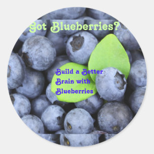 Got Blueberries? Classic Round Sticker