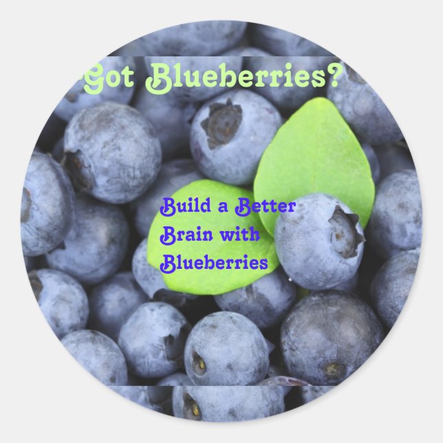 Got Blueberries? Classic Round Sticker (Front)