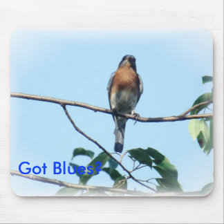 Got Blues mouse pad