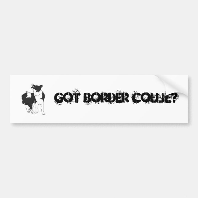 GOT BORDER COLLIE? BUMPER STICKER (Front)