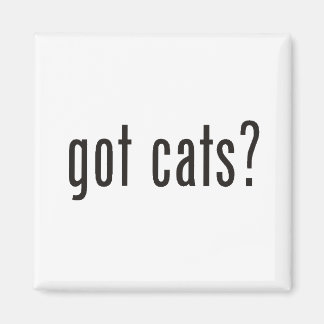 got cats? magnet