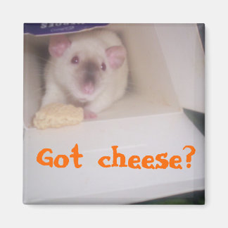 Got cheese? magnet