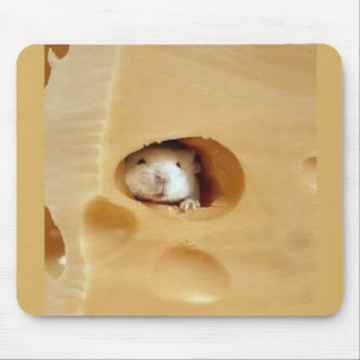 Got cheese? mouse mat
