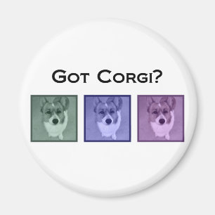Got Corgi? Cute Corgis Magnet