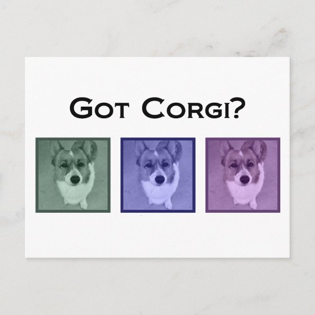 Got Corgi? Funny Corgis Art Photograph Postcard (Front)