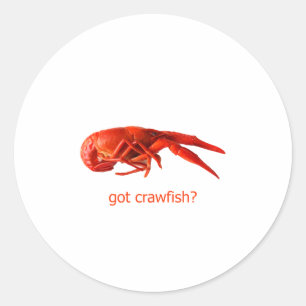 "got crawfish?" Logo Classic Round Sticker
