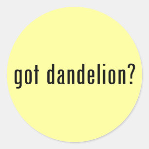 got dandelion? classic round sticker