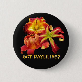 GOT DAYLILIES? BUTTON