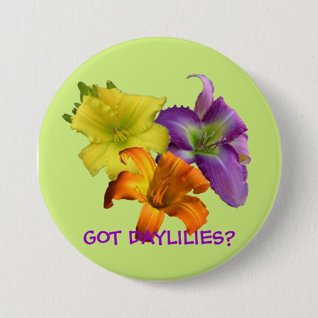 GOT DAYLILIES? BUTTON (Front)