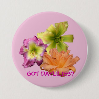 GOT DAYLILIES? BUTTON