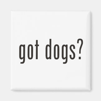 got dogs? magnet