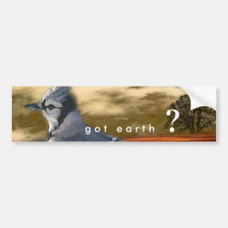 got earth? bumper sticker
