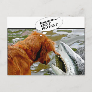 GOT FLOSS? DOG IN SHARK'S MOUTH - HUMOR POSTCARD
