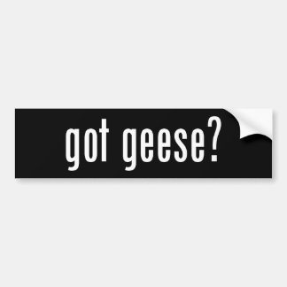 Got Geese? Bumper Sticker