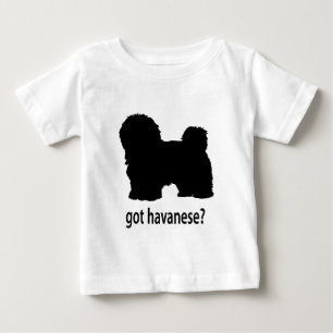 Got Havanese Baby T-Shirt