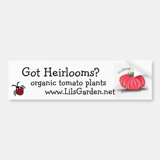 Got Heirlooms? Bumper Sticker (Front)