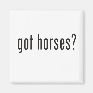 got horses? magnet