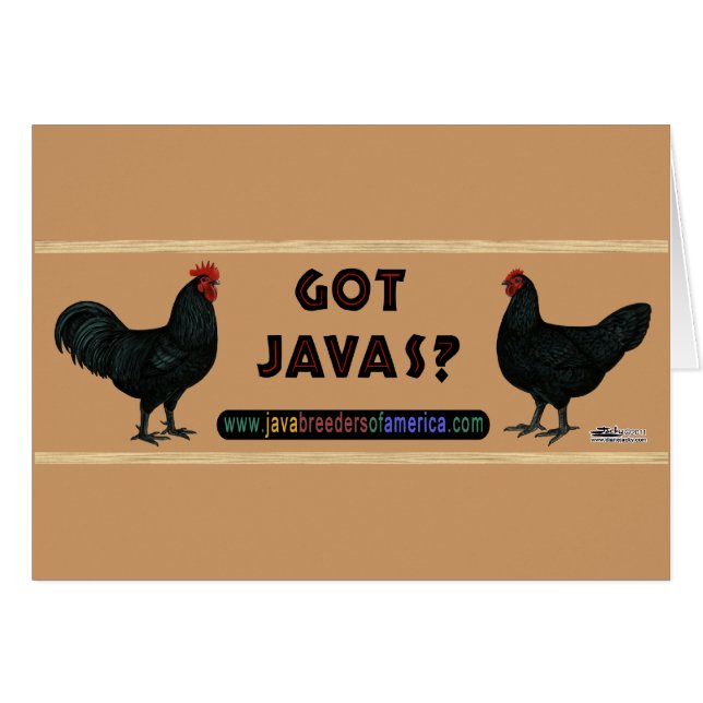 Got Javas? (Front Horizontal)