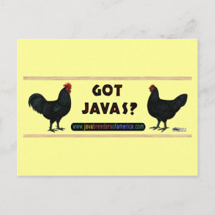 Got Javas? Postcard
