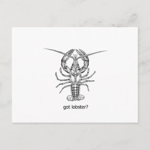 got lobster? postcard