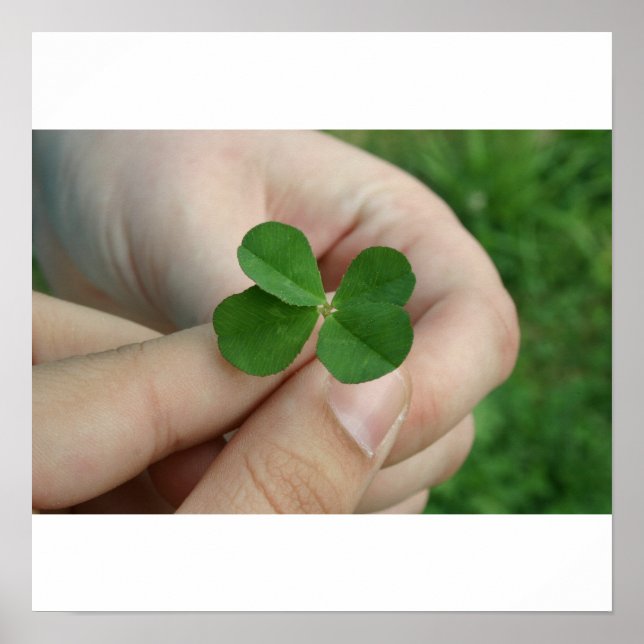 Got lucky? poster (Front)