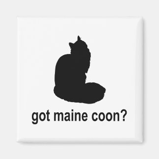 Got Maine Coon? Magnet