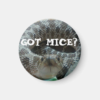 Got Mice? Hognose Magnet
