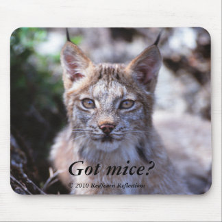 Got mice?, mouse mat