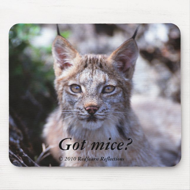 Got mice?, mouse mat (Front)