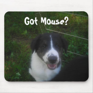 Got Mouse? Mouse Mat