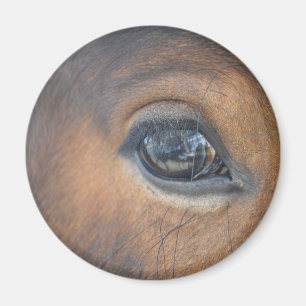 Got My Eye On You Magnet