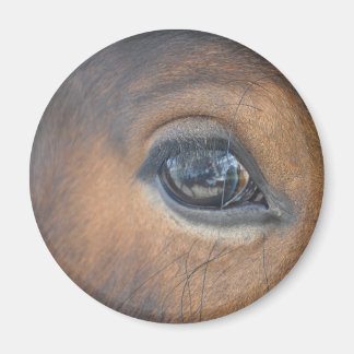 Got My Eye On You Magnet