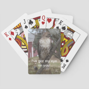 Got My Eye on You Red-tailed Hawk Playing Cards